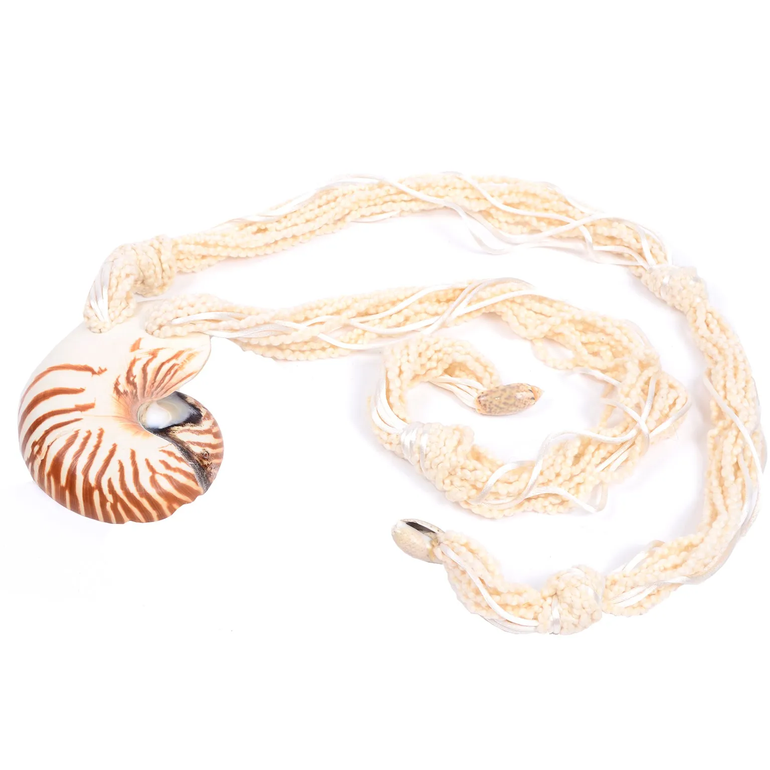 Vintage Chambered Nautilus Tiger Shell Belt